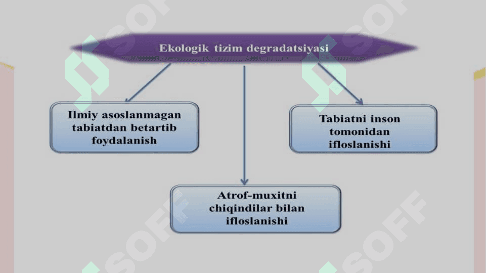 EKOLOGIK INQIROZNING OLDINI OLISH MUAMMOLARI 4