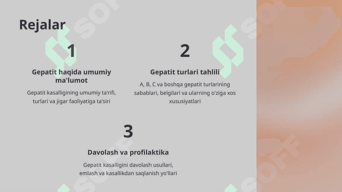 Gepatit haqida batafsil ma'lumot 2