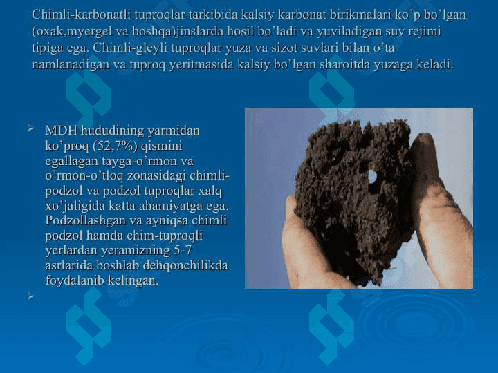 Tayga-o‘rmon zonasining tuproqlari, botqoq tuproqlar. O’rmon-dasht va dasht zonasining qora tuproqlari 6