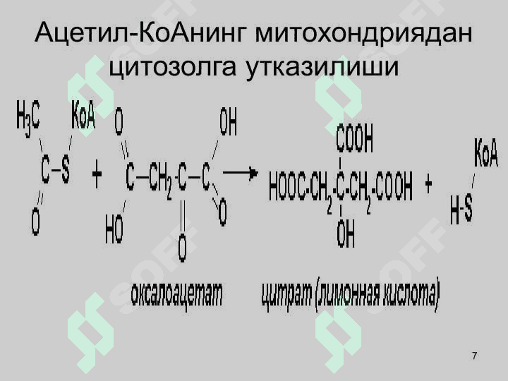 ЛИПИДЛАР АЛМАШИНУВИ 7