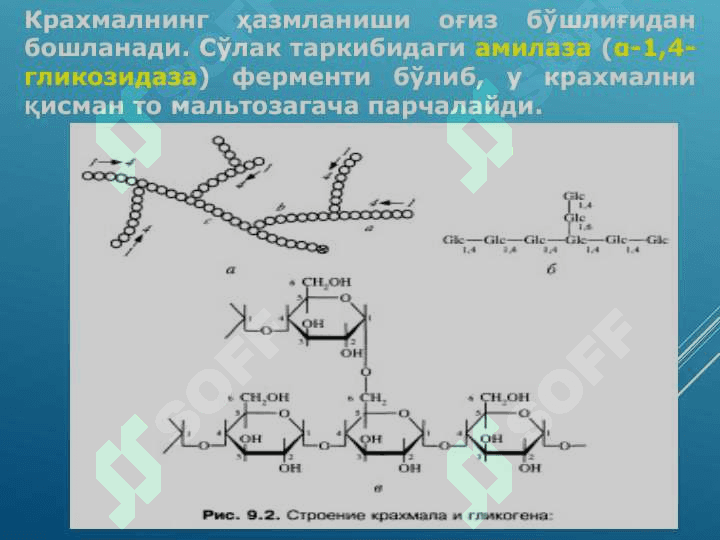 УГЛЕВОДЛАР АЛМАШИНУВИ ВА ФУНКЦИЯЛАРИ 8