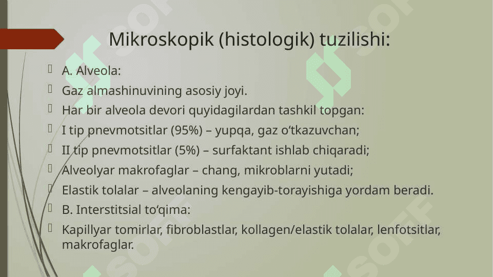 O’pkaninig funksional morfologiyasi 4