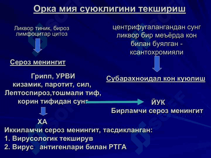 Менингит ва менингоэнцефалитларнинг эрта ва киёсий ташхисоти 7