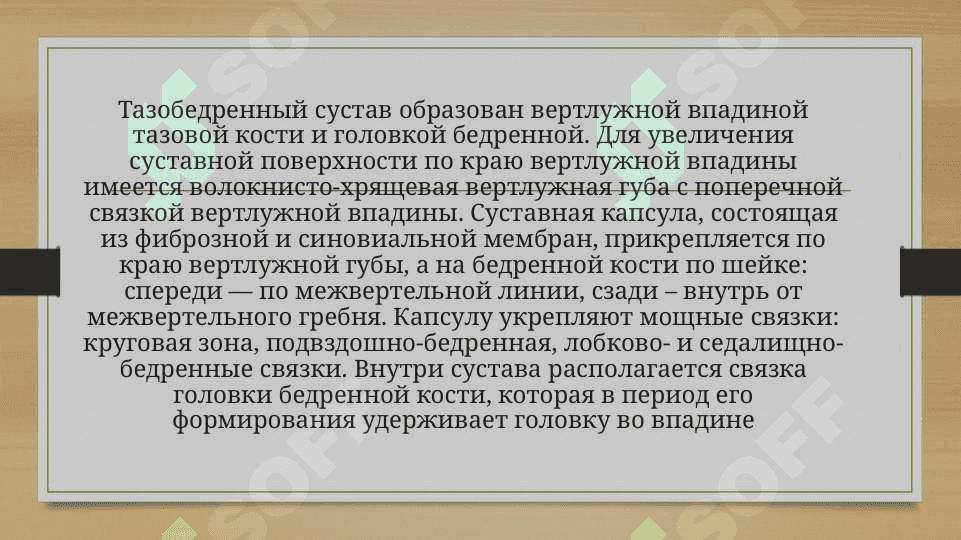 Биомеханика тазобедренного сустава 2