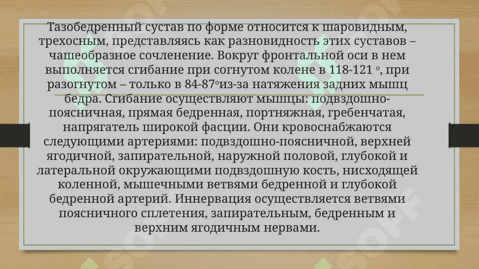 Биомеханика тазобедренного сустава 3