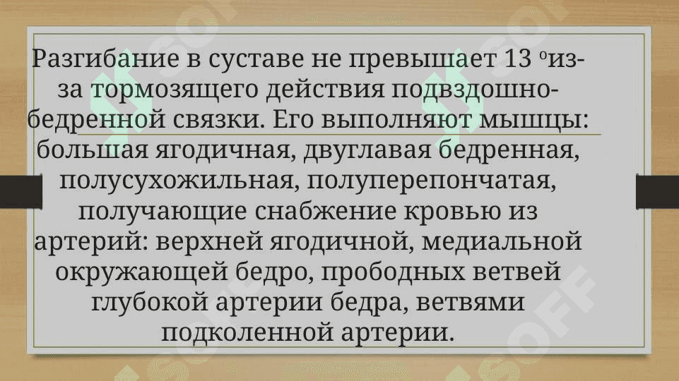 Биомеханика тазобедренного сустава 4