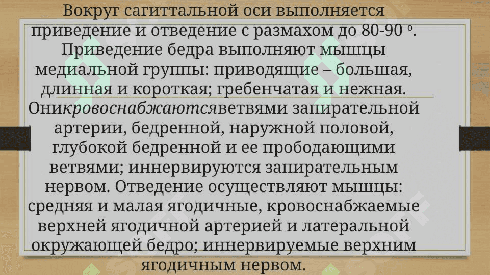 Биомеханика тазобедренного сустава 5