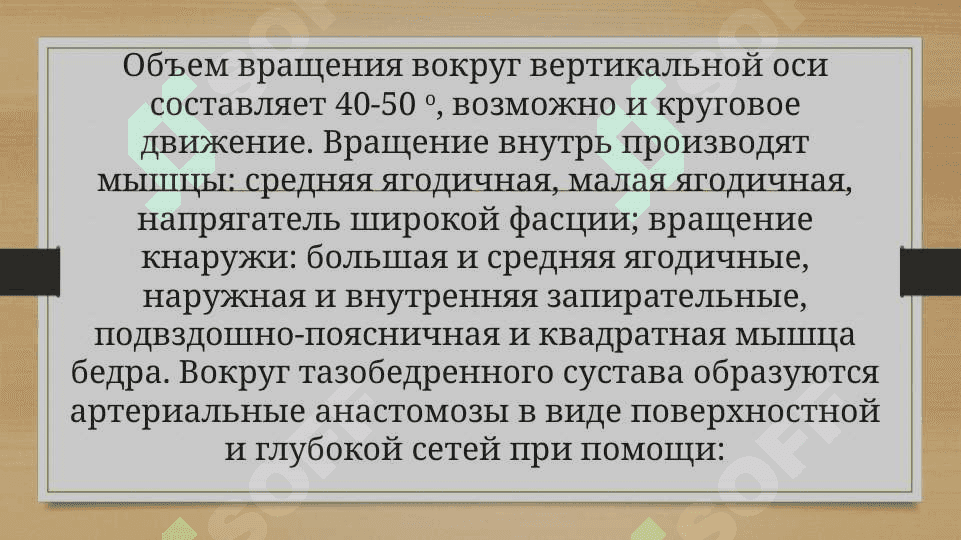 Биомеханика тазобедренного сустава 6