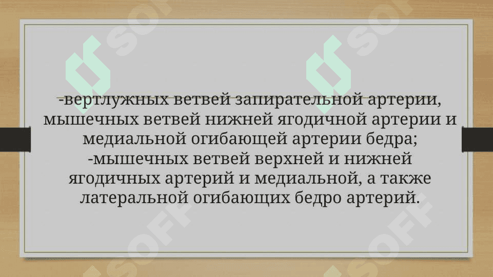 Биомеханика тазобедренного сустава 7