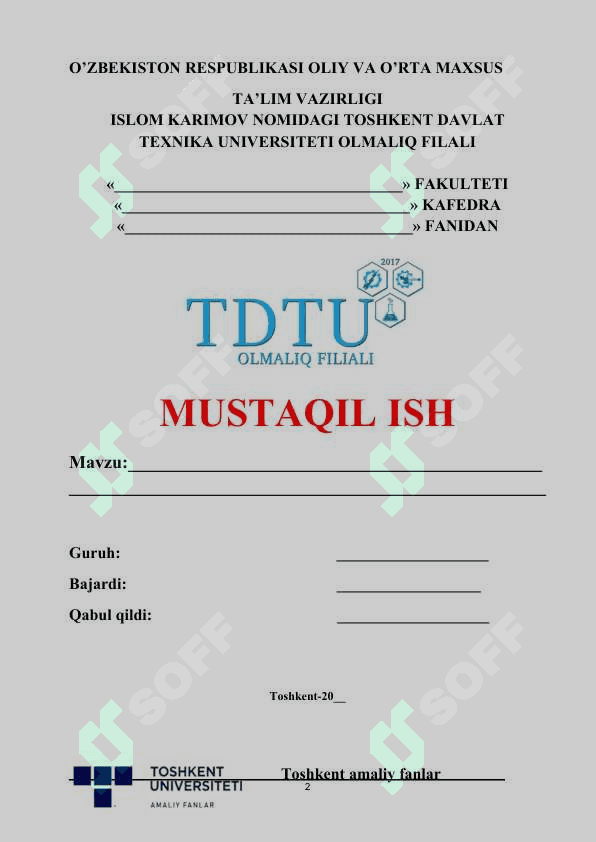 mustaqil ish yuzi 2
