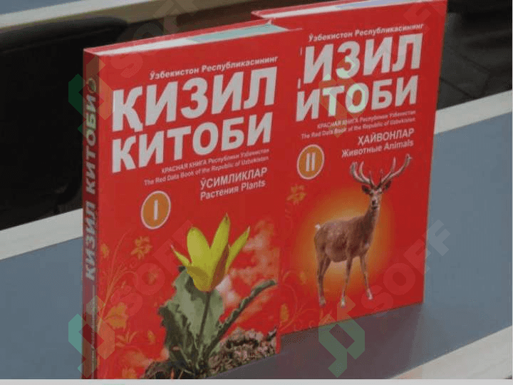 Qizil kitobga kiritilgan oʻsimlik turlari. 2