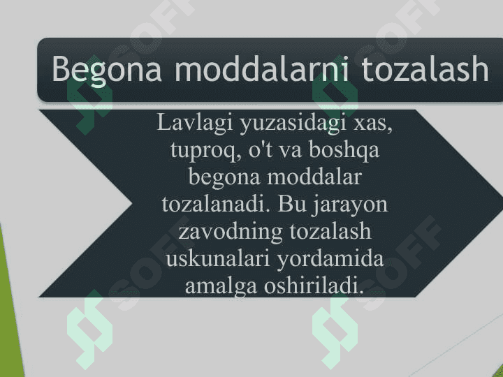 Qand lavlagidan shakar olish texnologiyasi 4