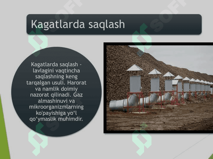 Qand lavlagidan shakar olish texnologiyasi 6