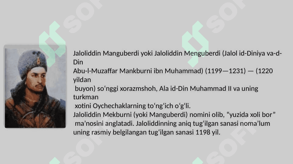 Jaloliddin Manguberdi Vatan himoyachisi 3