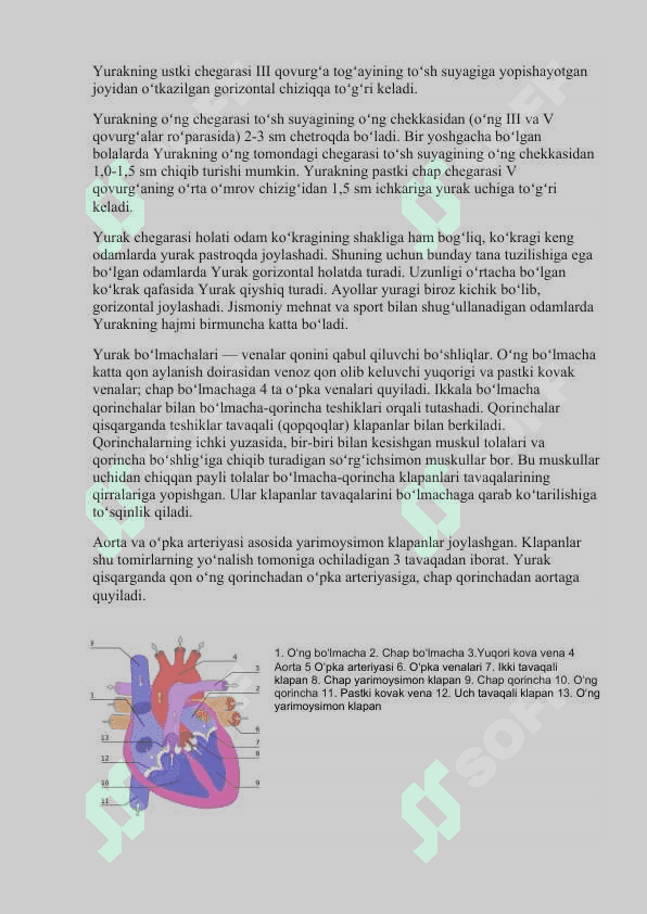 Yurak va uning klasifikatsiyalari uchraydigan kasalliklar ularni oldini olish , davolash usullari 3