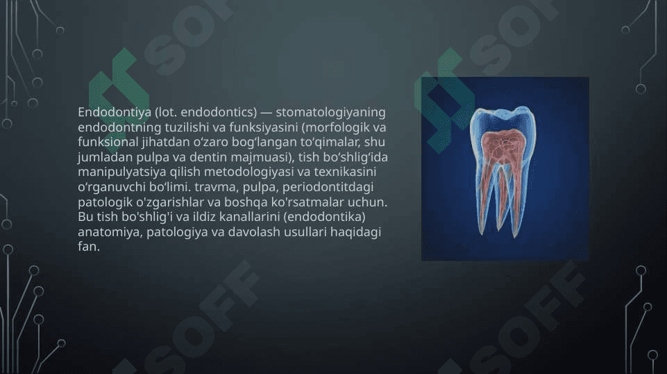 Endodontik asboblar sterilizatsiyasi.endodontic asboblar tasnifi 2