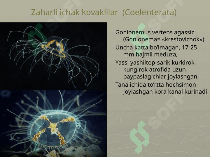 Zaharli hayvonlar 5