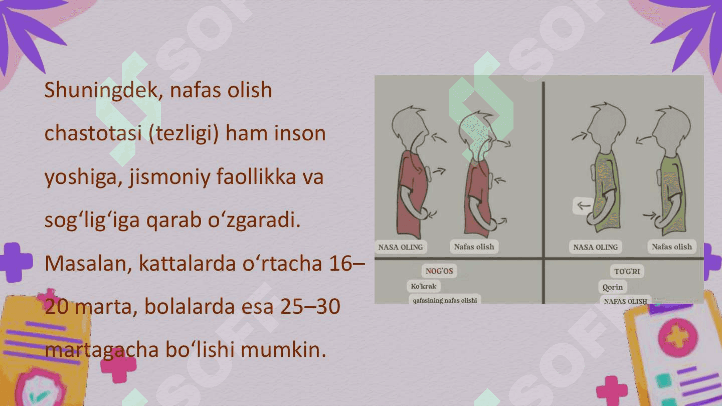 Nafas tiplari. Nafasning o'z-o'zini boshqarishi O'pkaning nafasga oid bo'lmagan funktsiyalari. Sun'iy nafas 6