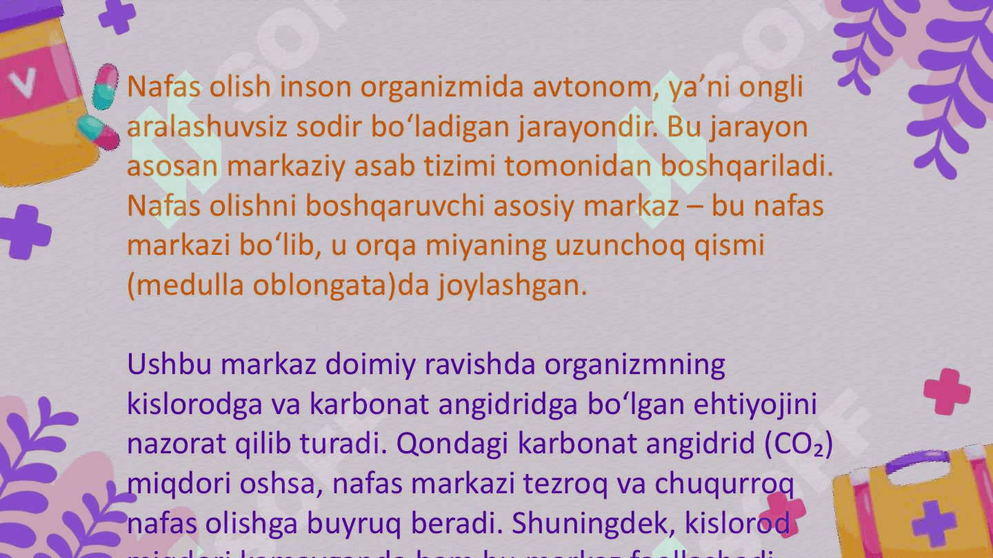 Nafas tiplari. Nafasning o'z-o'zini boshqarishi O'pkaning nafasga oid bo'lmagan funktsiyalari. Sun'iy nafas 7