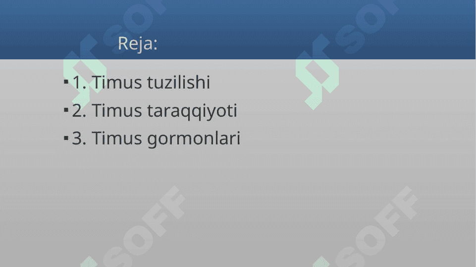 Timus tuzilishi, taraqqiyoti va vazifasi 2