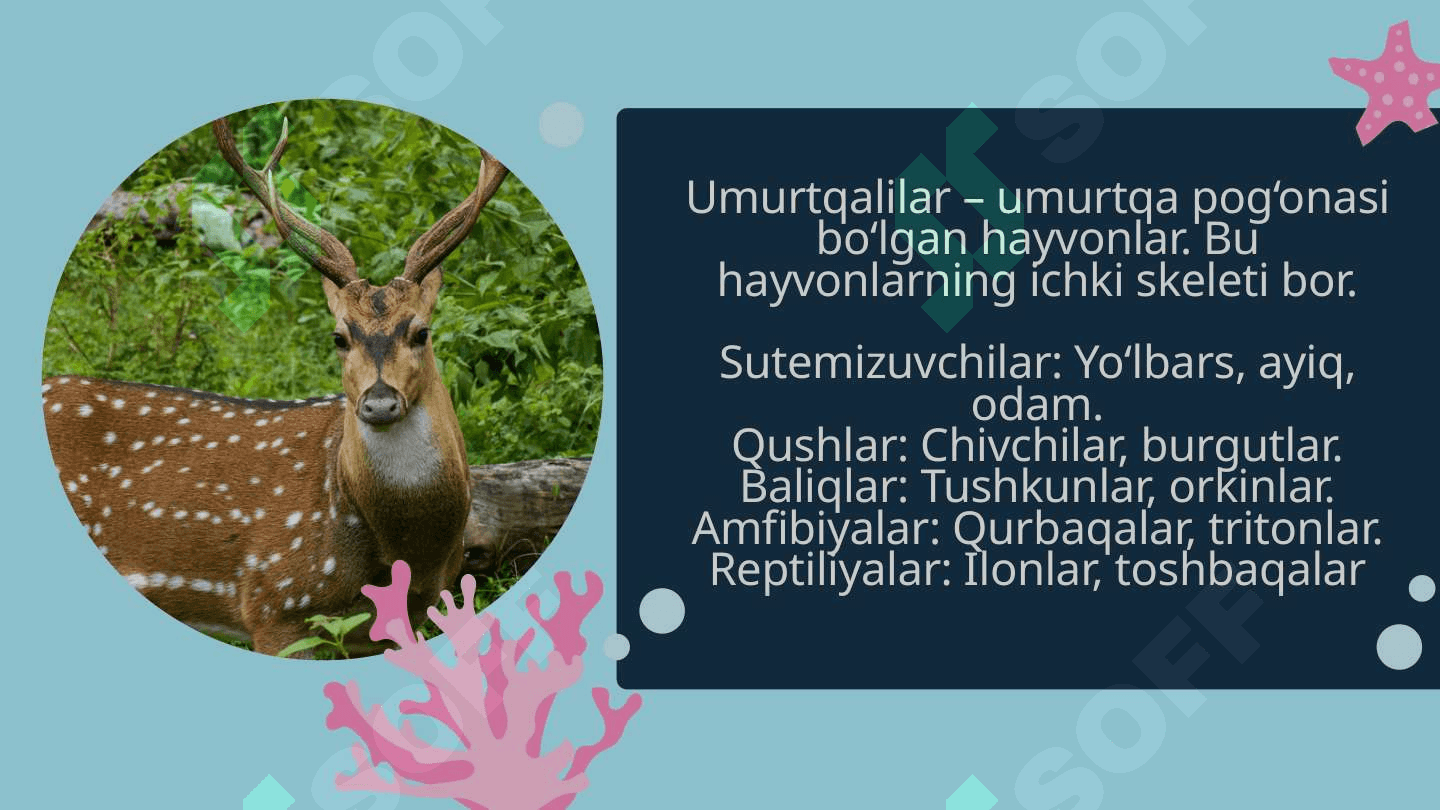 Hayvonlarning turlari 4