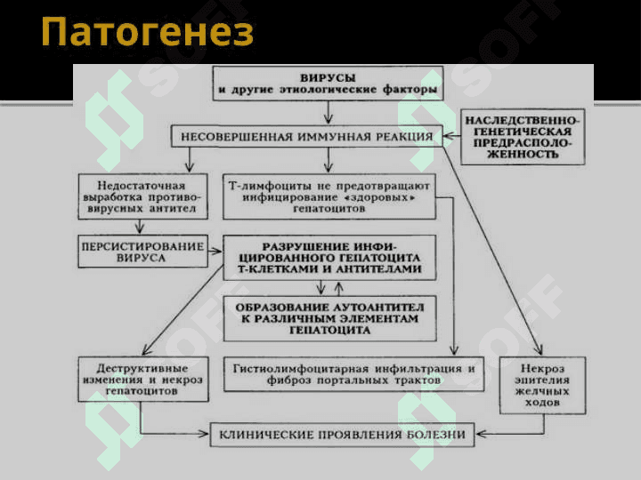 Хронический гепатит 8