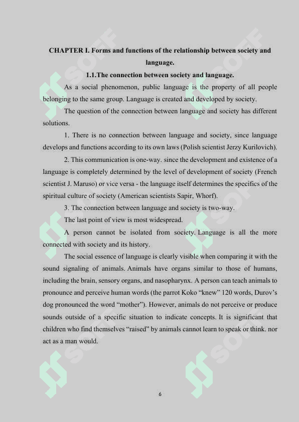 The relationship between language and society 5