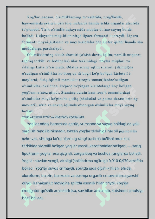 Tarkibida yog’lar bo’lgan dorivor o'simliklar va mahsulotlar zaytuni, makkajo'xori 3