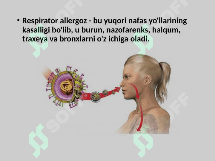 Respirator allergoz 2