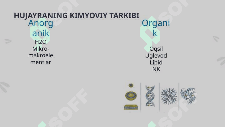 Tibbiy biologiya faniga kirish 4