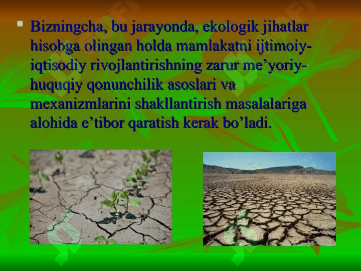 Cho'l va chalacho'l o'simliklar dunyosi slayd 4