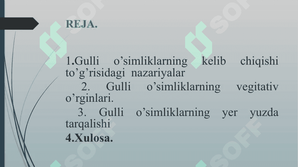 Gulli o’simliklarning xilma xiligi va tarqalishi 3