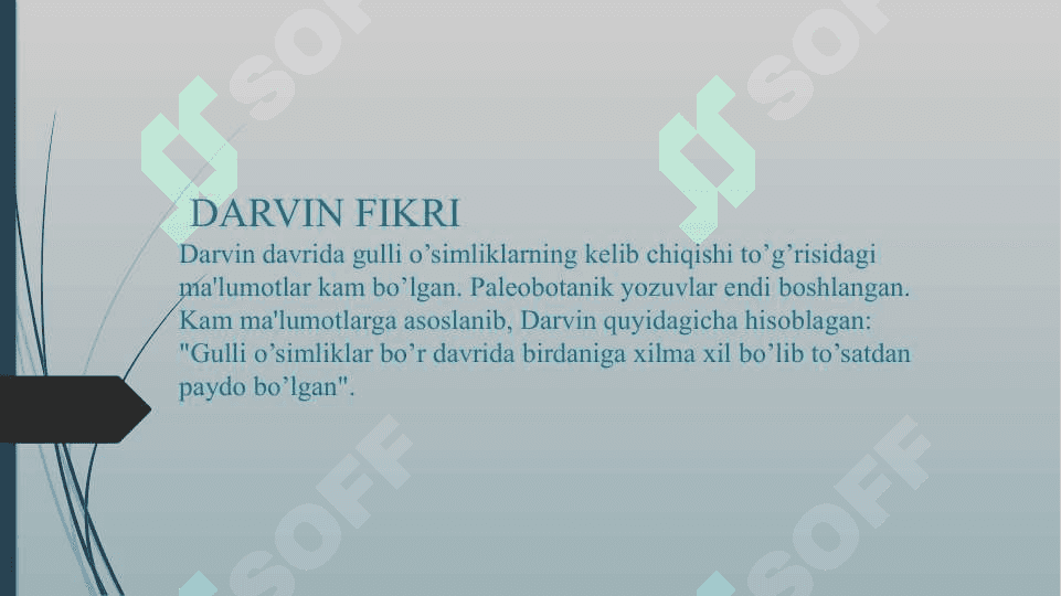 Gulli o’simliklarning xilma xiligi va tarqalishi 4