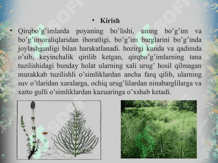 Qirqbo’g’imdoshlar oilasi. 3