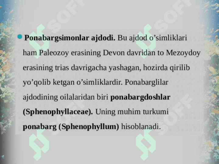 Qirqbo’g’imdoshlar oilasi. 8