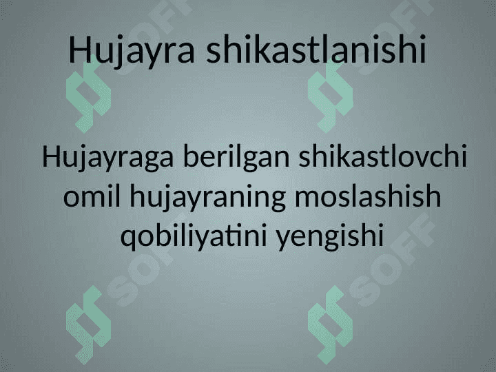 Hujayra shikastlanishi 4