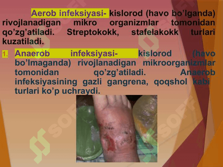 Anaerob Infeksiyalar profilaktikasi 3
