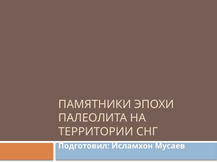 Памятники эпохи палеолита на территории СНГ.pptx