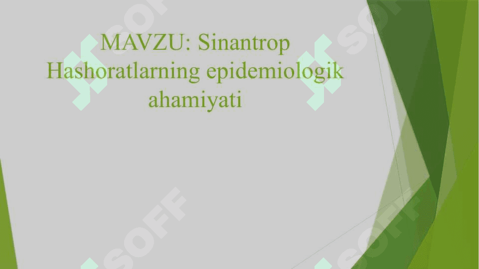 Sinantrop hashoratlarning epidemiologik ahamiyati 2