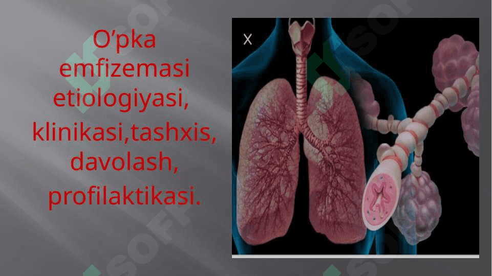 O’PKA EMFIZEMASI 2