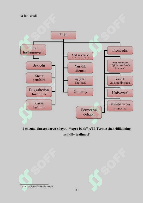 Agro bank amaliyot hisoboti Termiz shahri 6