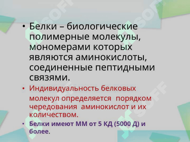 Белки – биологические полимерные молекулы, мономерами которых являются аминокислоты, соединенные пептидными связями. 2