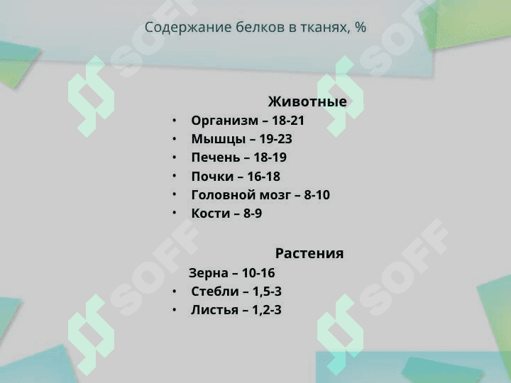 Белки – биологические полимерные молекулы, мономерами которых являются аминокислоты, соединенные пептидными связями. 3