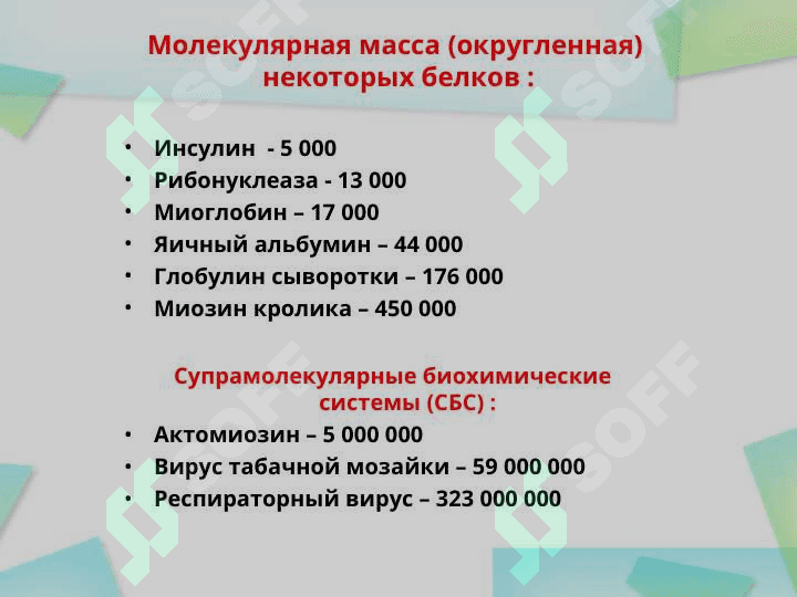 Белки – биологические полимерные молекулы, мономерами которых являются аминокислоты, соединенные пептидными связями. 5