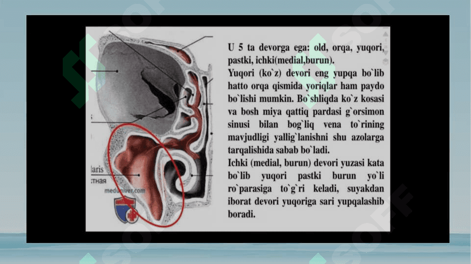 Otorinolaringologik kasalliklari bilan og‘rigan bemorlarni tekshirish usullari 6