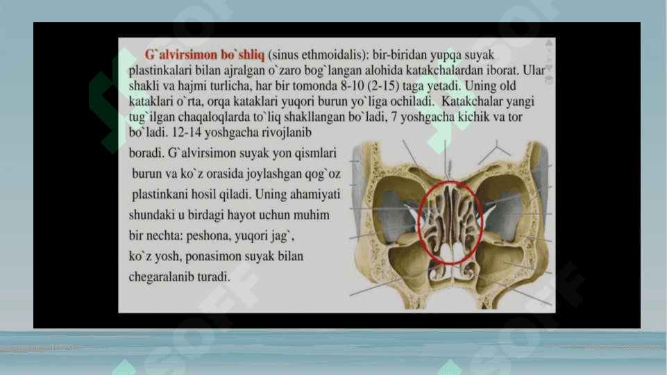 Otorinolaringologik kasalliklari bilan og‘rigan bemorlarni tekshirish usullari 8