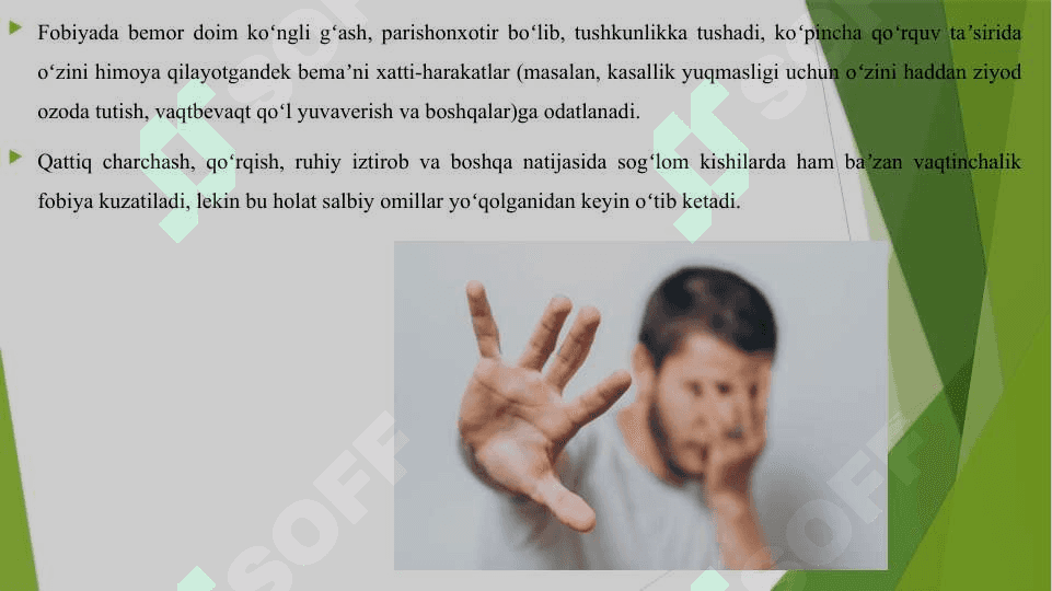 FOBIYA TURLARI 4