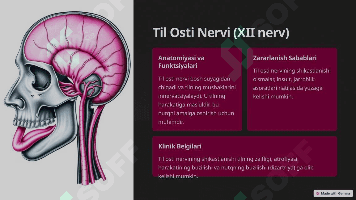 Til-yutqun, Adashgan, Til Osti va Ensa Nervlarining Zararlanishi 4