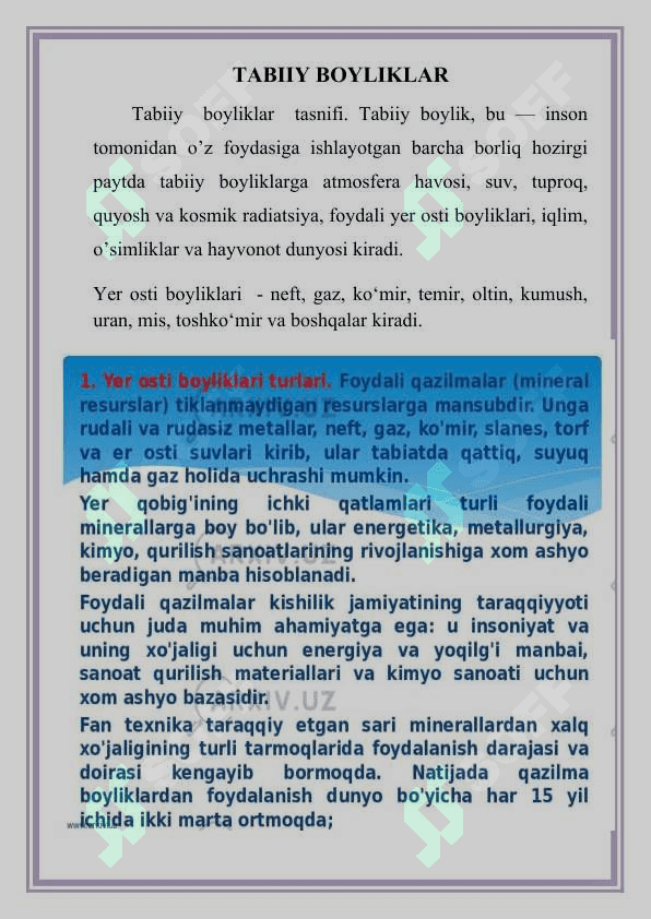 Tabiiy boyliklar loyiha ishis bsb 2
