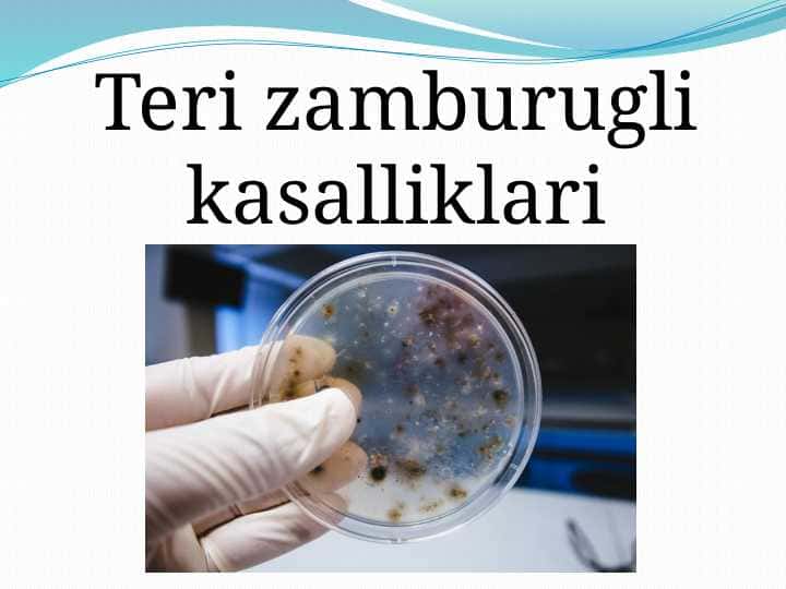 Teri zamburugli kasalliklari